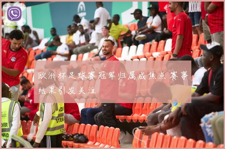 欧洲杯足球赛冠军归属成焦点 赛事结果引发关注