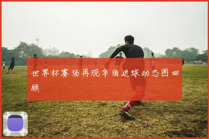 世界杯赛场再现华丽进球动态图回顾