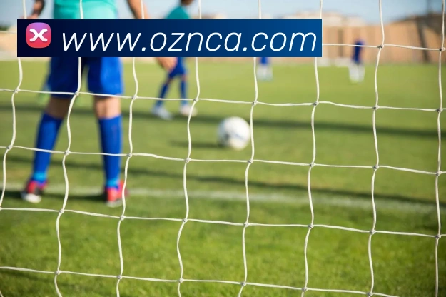 巅峰国标pg官网入口品牌故事